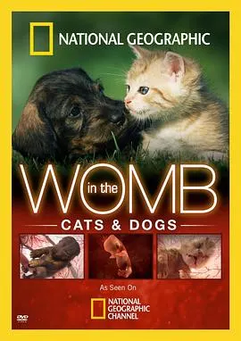 子宫日记：猫与犬封面