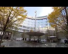 电视中心往事封面