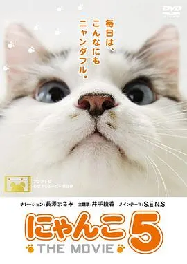 猫咪物语5 にゃんこ封面