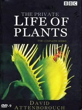 植物私生活封面