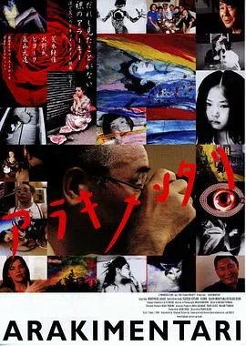 迷色封面