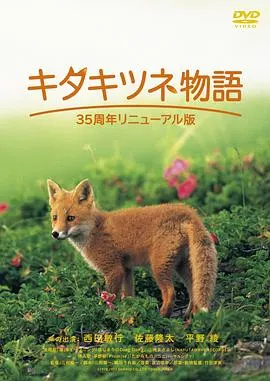 狐狸的故事 キタキツネ物語封面