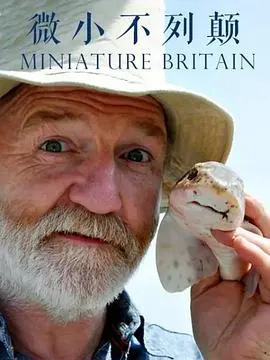 英国的微小生命封面