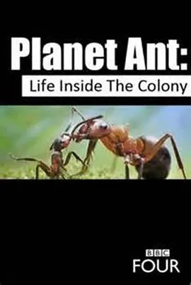 蚂蚁星球封面