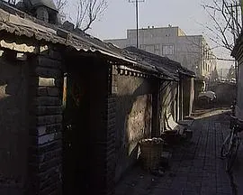 回到凤凰桥封面