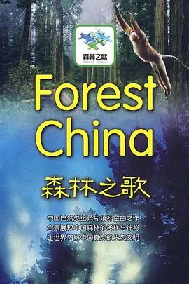 森林之歌封面