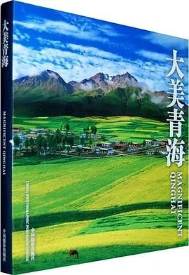 大美青海封面
