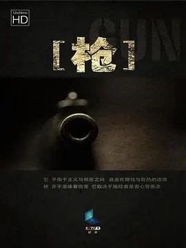枪封面