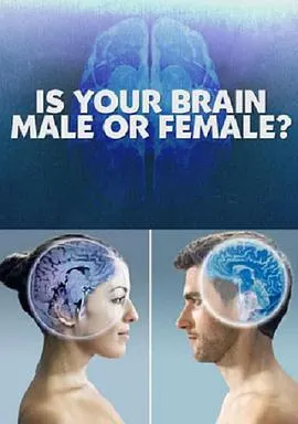 你的大脑是男性还是女性封面