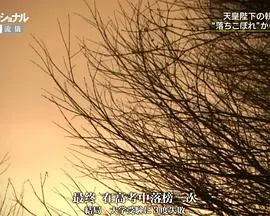 外科医生天野笃 一心一意 搭建未来 仕事の流儀 一途一心 明日をつむぐ 心臓外科医 天野篤封面