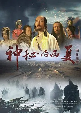 神秘的西夏封面