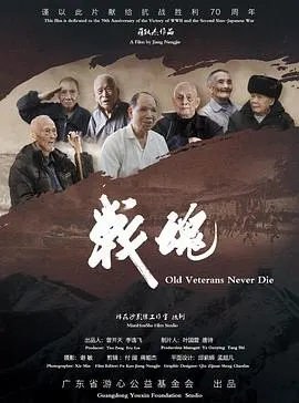 战魂封面