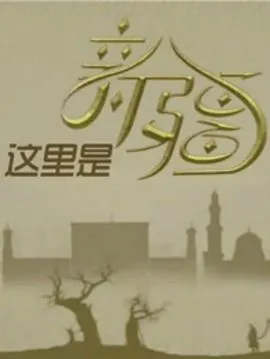 这里是新疆封面
