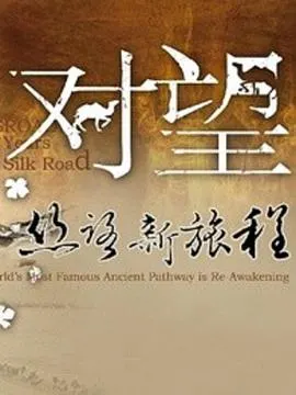对望：丝路新旅程封面