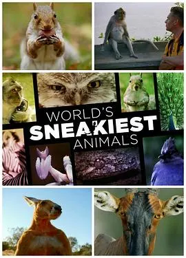 世界上最狡猾的动物封面