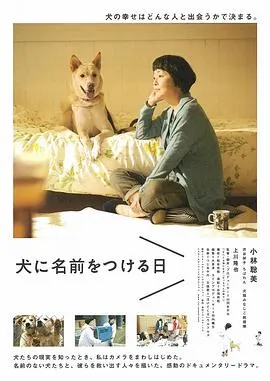 为你取名的那一天 犬に名前をつける日封面