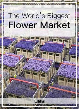 世界上最大的鲜花市场封面