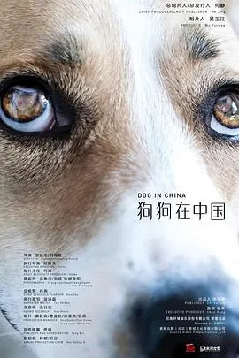 狗狗在中国封面