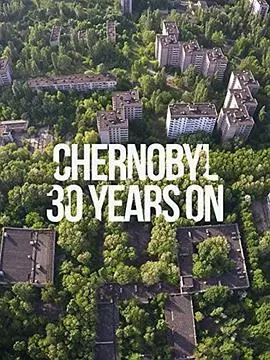 切尔诺贝利：30年后封面