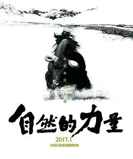 自然的力量封面