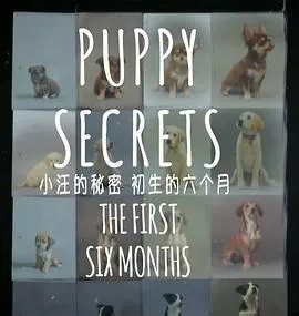 小汪的秘密：初生的六个月封面