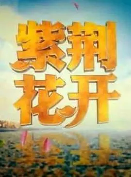 紫荆花开封面