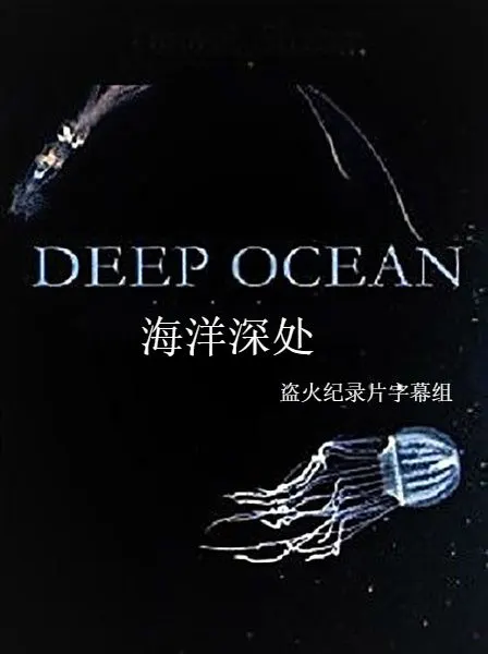 海洋深处封面