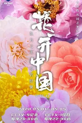 花开中国封面
