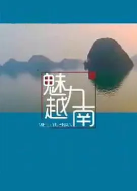 魅力越南封面