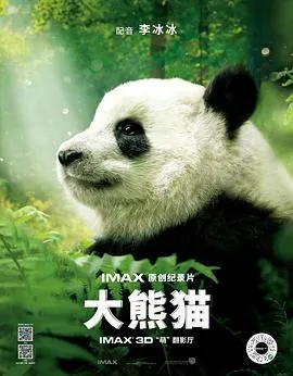 大熊猫封面