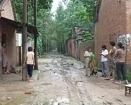 十万八千里封面