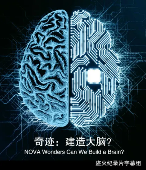 奇迹：建造大脑？封面