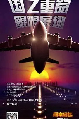 大国鲲鹏封面