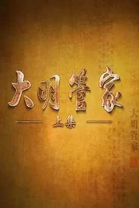 大明管家封面