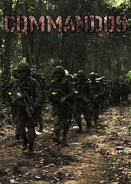 新加坡特种兵封面