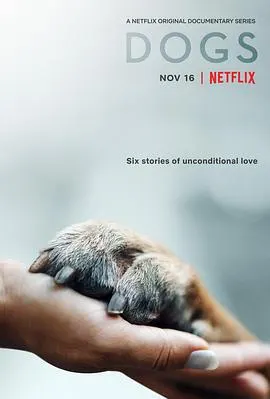 爱犬情深 第一季封面