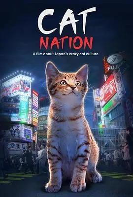 猫咪国度封面