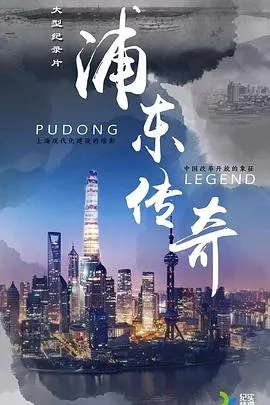 浦东传奇封面