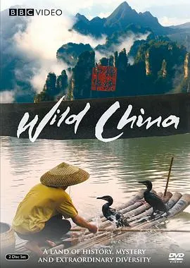 美丽中国封面