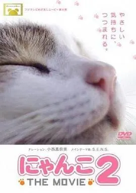猫咪物语2 にゃんこ封面