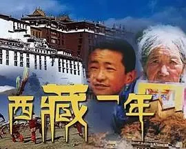 西藏一年封面