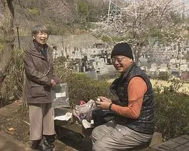 纪实72小时 树木葬 樱花树下来见你 ドキュメント72時間「樹木葬 桜の下のあなたへ」封面