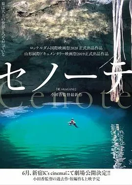 沉洞泉 セノーテ封面