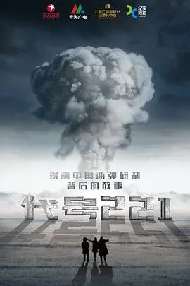 代号221封面