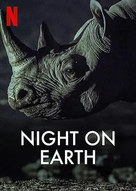 地球的夜晚封面
