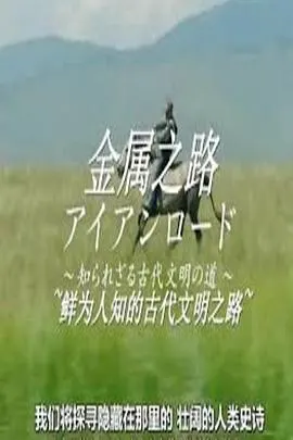 金属之路-鲜为人知的古代文明之路封面