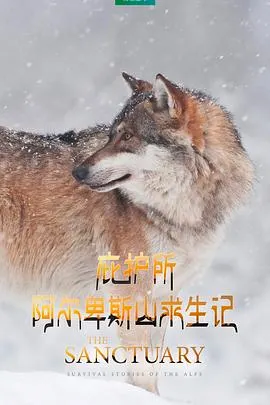 庇护所：阿尔卑斯山求生记封面