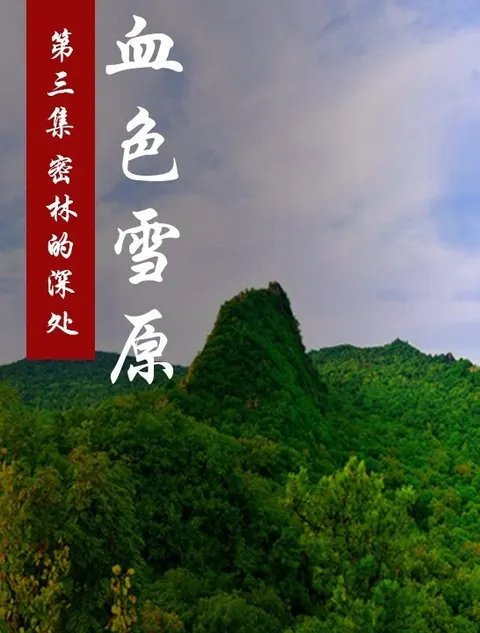 血色雪原封面
