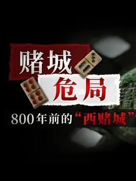 赌城危局封面
