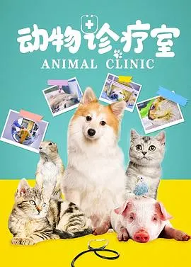 动物诊疗室封面